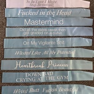 Taylor Swift Sashes. Hand Made and used 1x for my bachelorette party.